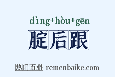 腚后跟是什么意思的图片